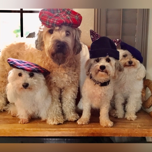 👜  Bijou’s Accessories!  🧳 - Picture 4 of 15